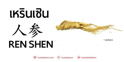 เหรินเซิน 人参 : ข้อมูลสมุนไพรจีน