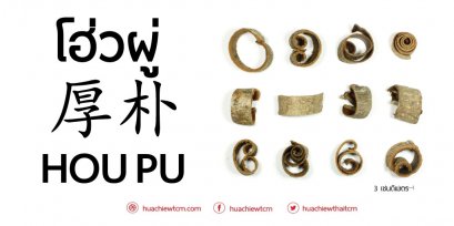 โฮ่วผู่ (厚朴) - ข้อมูลสมุนไพรจีน