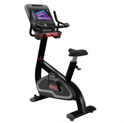 8UB UPRIGHT BIKE
