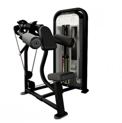 IMPACT® DELTOID RAISE