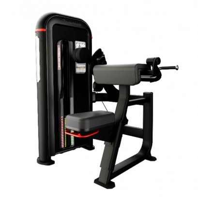 Inspiration BILATERAL ARM CURL