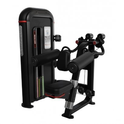 Inspiration DELTOID RAISE