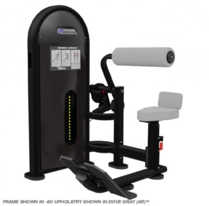 DUAL ABDOMINAL/LOWER BACK