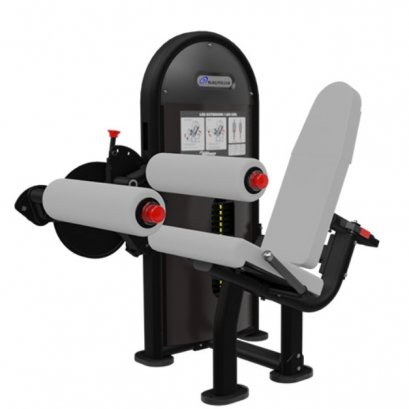 DUAL LEG EXTENSION/LEG CURL