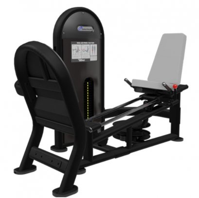 DUAL LEG PRESS/CALF RAISE