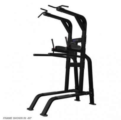 PULL-UP/DIP/LEG RAISE