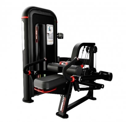 Inspiration TRICEP DIP