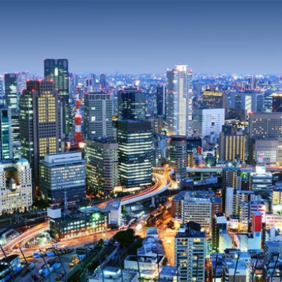 Vivamus vel ultricies velit