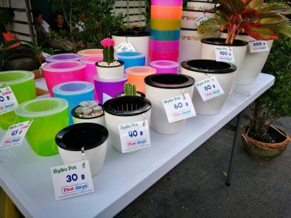 Hydro Pot กระถางให้น้ำ ไฮโดรพ็อต(copy)