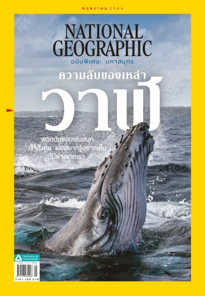 National Geographic ฉบับ 238 เดือนพฤษภาคม 2564 &#039;ความลับของเหล่าวาฬ&#039;