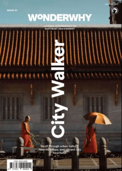 (Eng) Wonderwhy Vol 1: City Walker