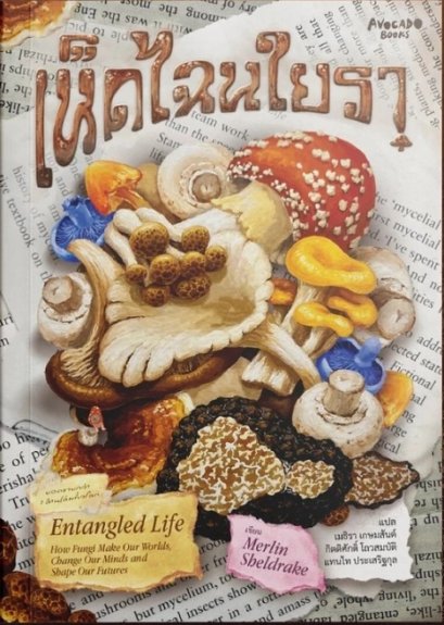 เห็ดไฉนใยรา Entangled Life / Merlin Sheldrake / Avocado Books