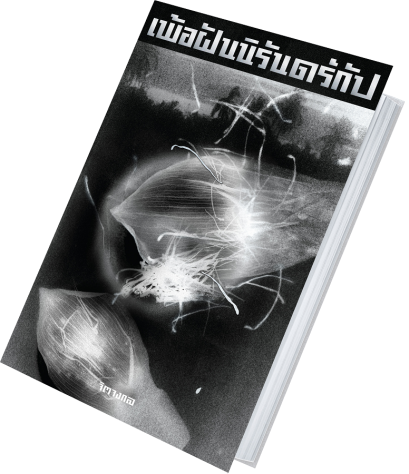 เพ้อฝันนิรันดร์กัป / จิตจงกล / Pandora Press