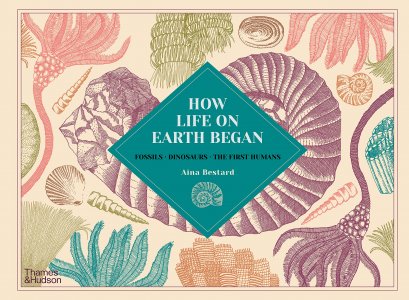 ( Eng ) How Life on Earth Began Fossils Dinosaurs The First Humans /anglais Hardback – February 18, 2021 by BESTARD AINA / Thames &amp; Hudson