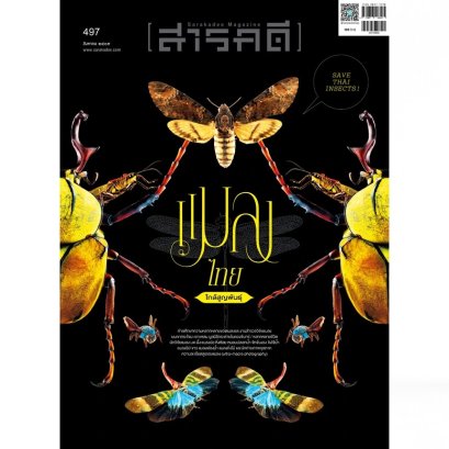 Pre-order นิตยสารสารคดี ฉบับ 497 สิงหาคม 2569 แมลงไทยใกล้สูญพันธุ์