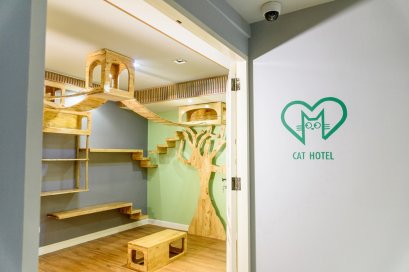 โรงแรมแมว โรงพยาบาลสัตว์เศรษฐกิจสัตวแพทย์