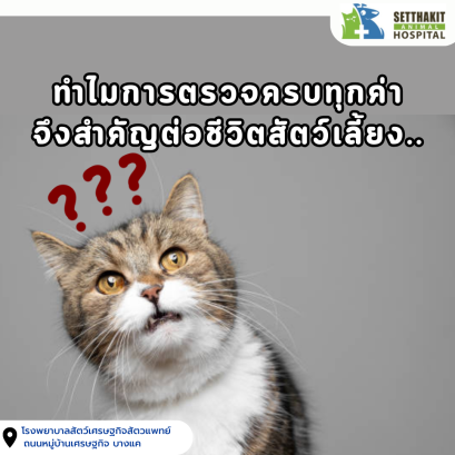 ทำไมการตรวจครบทุกค่าจึงสำคัญต่อชีวิตเขา