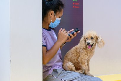 4 เคล็ดลับดูแลสุนัขผิวแพ้ง่าย