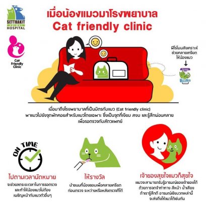 เมื่อน้องแมวไปโรงพยาบาล cat friendly clinic