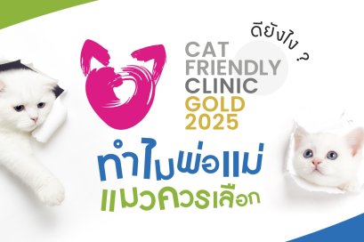 Cat Friendly Clinic ดียังไง? ทำไมพ่อแม่แมวควรเลือก