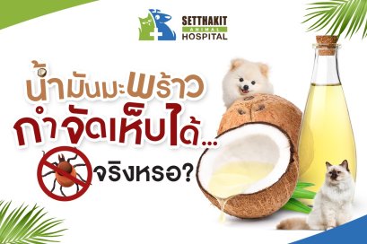 น้ำมันมะพร้าวกำจัดเห็บได้... จริงหรอ?