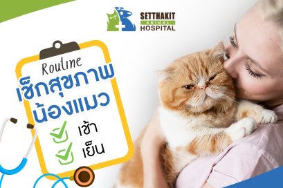Routine เช็กสุขภาพน้องแมวเช้า-เย็น
