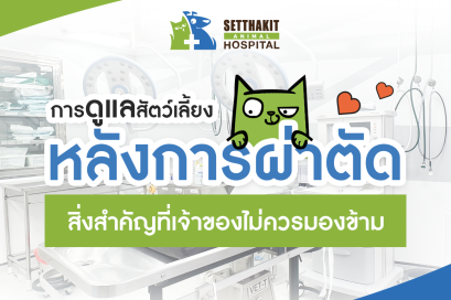 การดูแลสัตว์เลี้ยงหลังการผ่าตัด: สิ่งสำคัญที่เจ้าของไม่ควรมองข้าม,