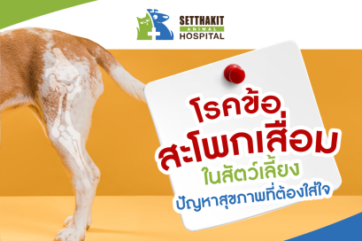 โรคข้อสะโพกเสื่อมในสัตว์เลี้ยง: ปัญหาสุขภาพที่ต้องใส่ใจ