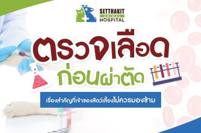 ตรวจเลือดก่อนผ่าตัด: เรื่องสำคัญที่เจ้าของสัตว์เลี้ยงไม่ควรมองข้าม