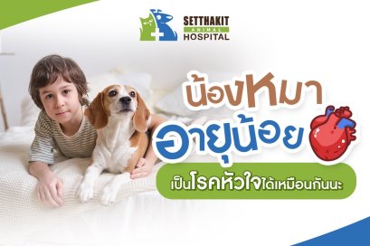 น้องหมาอายุน้อยก็เป็นโรคหัวใจได้เหมือนกันนะ