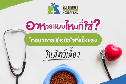 อาหารแบบไหนที่ใช่? โภชนาการเพื่อหัวใจที่แข็งแรงในสัตว์เลี้ยง