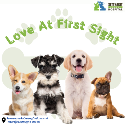 "รักแรกพบ...ต้องตรวจก่อนเลี้ยง!"