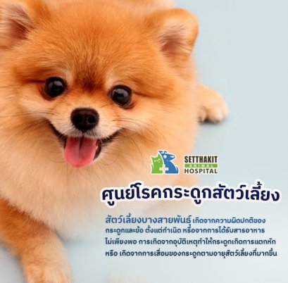 หมากระดูกหัก