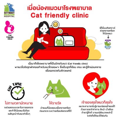 บริการฝากเลี้ยงแมวแบบ Cat Friendly Clinic  น้องแมวรู้สึกปลอดภัย สบายใจเหมือนบ้าน