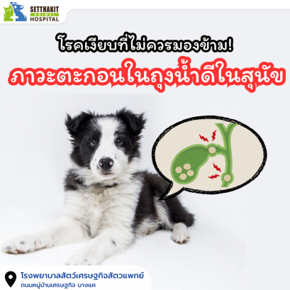 ภาวะตะกอนในถุงน้ำดีในสุนัข : โรคเงียบที่ไม่ควรมองข้าม