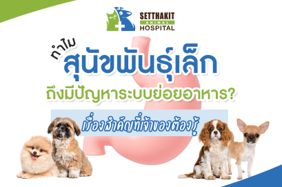 ทำไมสุนัขพันธุ์เล็กถึงมีปัญหาระบบย่อยอาหาร? เรื่องสำคัญที่เจ้าของต้องรู้