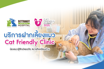 โรงแรมแมว (Cat Hotel) บริการฝากเลี้ยงแมว