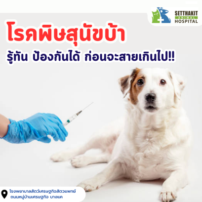 โรคพิษสุนัขบ้า: รู้ทัน ป้องกันได้ ก่อนจะสายเกินไป