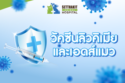 วัคซีนลิวคีเมียและเอดส์แมว: การป้องกันโรคร้ายที่ไม่ควรมองข้าม