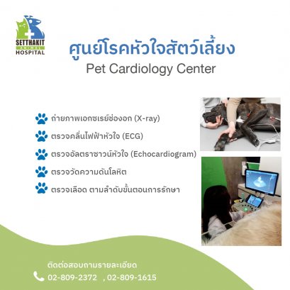 หัวใจ สุนัข แมว