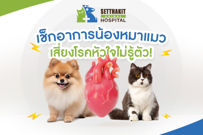 เช็กให้ดี! ถ้าน้องหมาน้องแมวมีสัญญาณเหล่านี้ อาจเสี่ยง โรคหัวใจ โดยไม่รู้ตัว