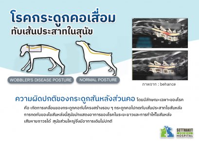 โรคกระดูกคอเสื่อมในสุนัข