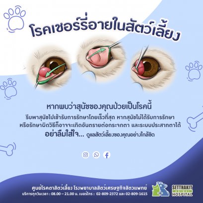 เชอรี่อาย ศูนย์โรคตา รพส เศรษฐกิจสัตวแพทย์