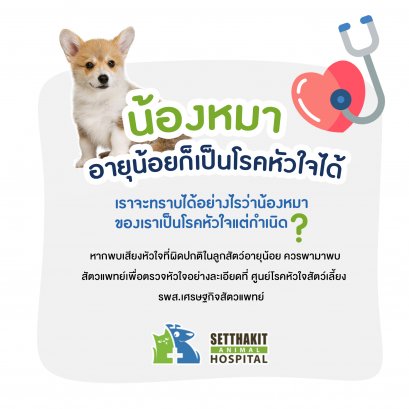 ลูกสุนัขที่มีความผิดปกติของหัวใจมาแต่กําเนิด อาจแสดงอาการป่วยคล้ายกับลูกสุนัขที่มีการติดเชื้อที่ระบบทางเดินหายใจ คืออาจมีอาการ หอบ หายใจลําบาก ไอ เนื่องจากมีภาวะน้ําท่วมปอดเกิดขึ้น 