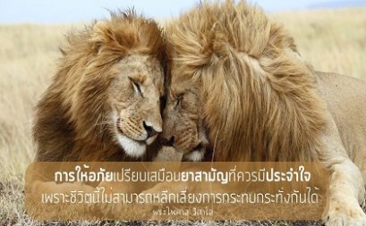ทั้ง 3 ศาสนาสอนการให้อภัย