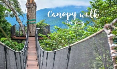 เปิดแล้ว! Tree Top Walk กิจกรรมใหม่สุดเสียวท่ามกลางป่าใหญ่ ณ สวนแม่ฟ้าหลวง จ.เชียงราย