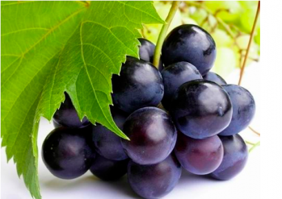 สารสกัดจากเปลือกองุ่น (Grape Skin Extract)