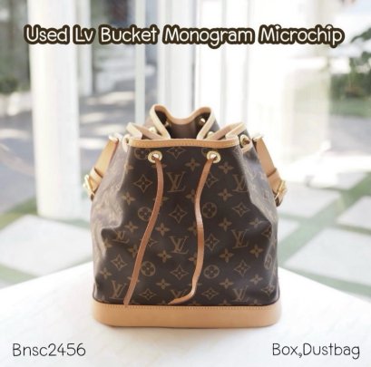 Louis Vuitton BUCKET MONOGRAM MICROCHIP