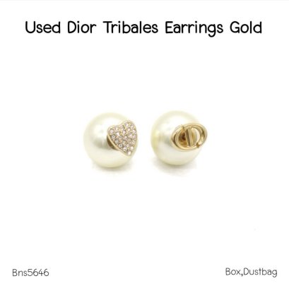 Dior TRIBALES EARRINGS