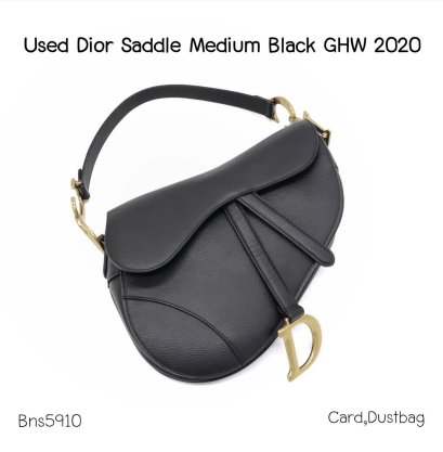 Dior SADDLE 2020